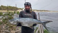 Divein Lissico Smoothskin Camouflage - Tailor Made Wetsuit -Dive Pro Deals 13062901 1092811287447877 6155794338640859448 o 1