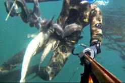 Elios Classic Brown Hydro Camo - Tailor Made Wetsuit -Dive Pro Deals alcatch 3