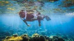 Ameo Powerbreather - Wave Edition -Dive Pro Deals atm shop m11 1 1