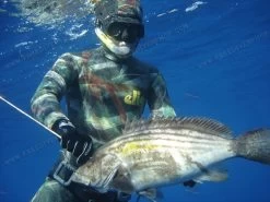 Elios Smoothskin Camo Benthos - Tailor Made Wetsuit -Dive Pro Deals benthos 2010