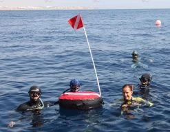 Apneautic Freediving Buoy Maxi 25 Apneautic Freediving Buoy Maxi -Dive Pro Deals bouy in water 1