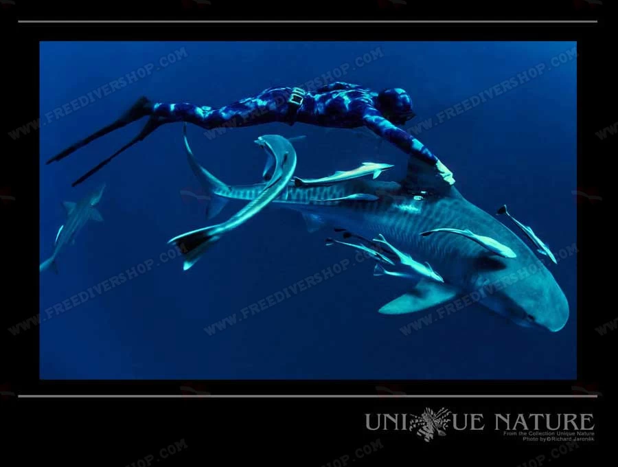 Elios Corifena Camouflage Wetsuit 9 Elios Corifena Camouflage Wetsuit - Image 7