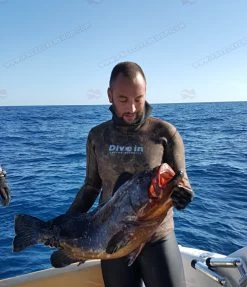 Divein Spaccato Green Wetsuit 11 Divein Spaccato Green Wetsuit -Dive Pro Deals cp 022