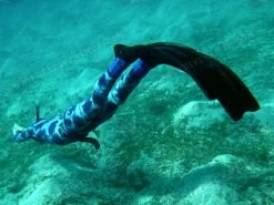 Elios Corifena Camouflage - Tailor Made Wetsuit -Dive Pro Deals elioscorifena4 1