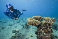 Elios Corifena Camouflage - Tailor Made Wetsuit -Dive Pro Deals elioscorifena6 1