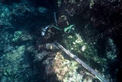 Elios Mimetic Camouflage - Tailor Made Wetsuit -Dive Pro Deals file 10