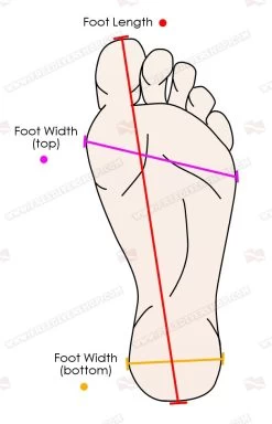 GoldFin Fish Tail Finswimming Hyper Monofin -Dive Pro Deals foot vector 3 1