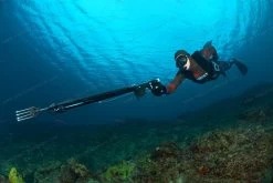 Divein Combo Red Camouflage - Tailor Made Wetsuit -Dive Pro Deals frk 94581 1