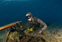 Divein Spaccato Green Wetsuit 9 Divein Spaccato Green Wetsuit -Dive Pro Deals frk 9492 1