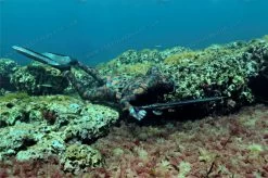 Elios Reef Camouflage Wetsuit -Dive Pro Deals image1 3
