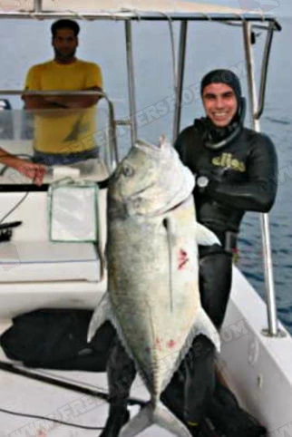 Elios Smoothskin Black - Tailor Made Wetsuit 13 Elios Smoothskin Black - Tailor Made Wetsuit - Image 11