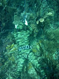 Elios Shaca / Marrone Camouflage Wetsuit 20 Elios Shaca / Marrone Camouflage Wetsuit -Dive Pro Deals image2 1 2