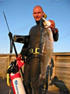 Elios Smoothskin Black - Tailor Made Wetsuit 24 Elios Smoothskin Black - Tailor Made Wetsuit -Dive Pro Deals image39 4