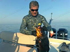 Elios Blue Reef Camouflage Wetsuit -Dive Pro Deals image3 5