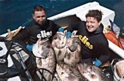 Elios Black Thermic Plush - Tailor Made Wetsuit -Dive Pro Deals image41 1 3