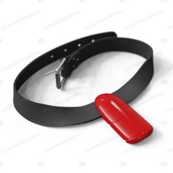 Lobster Freediving Weight Belt Set -Dive Pro Deals lobster belt set red1 1